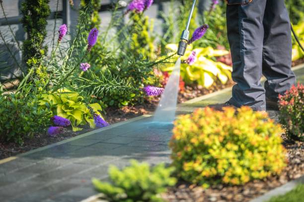 Best Post-Construction Pressure Washing  in South El Monte, CA